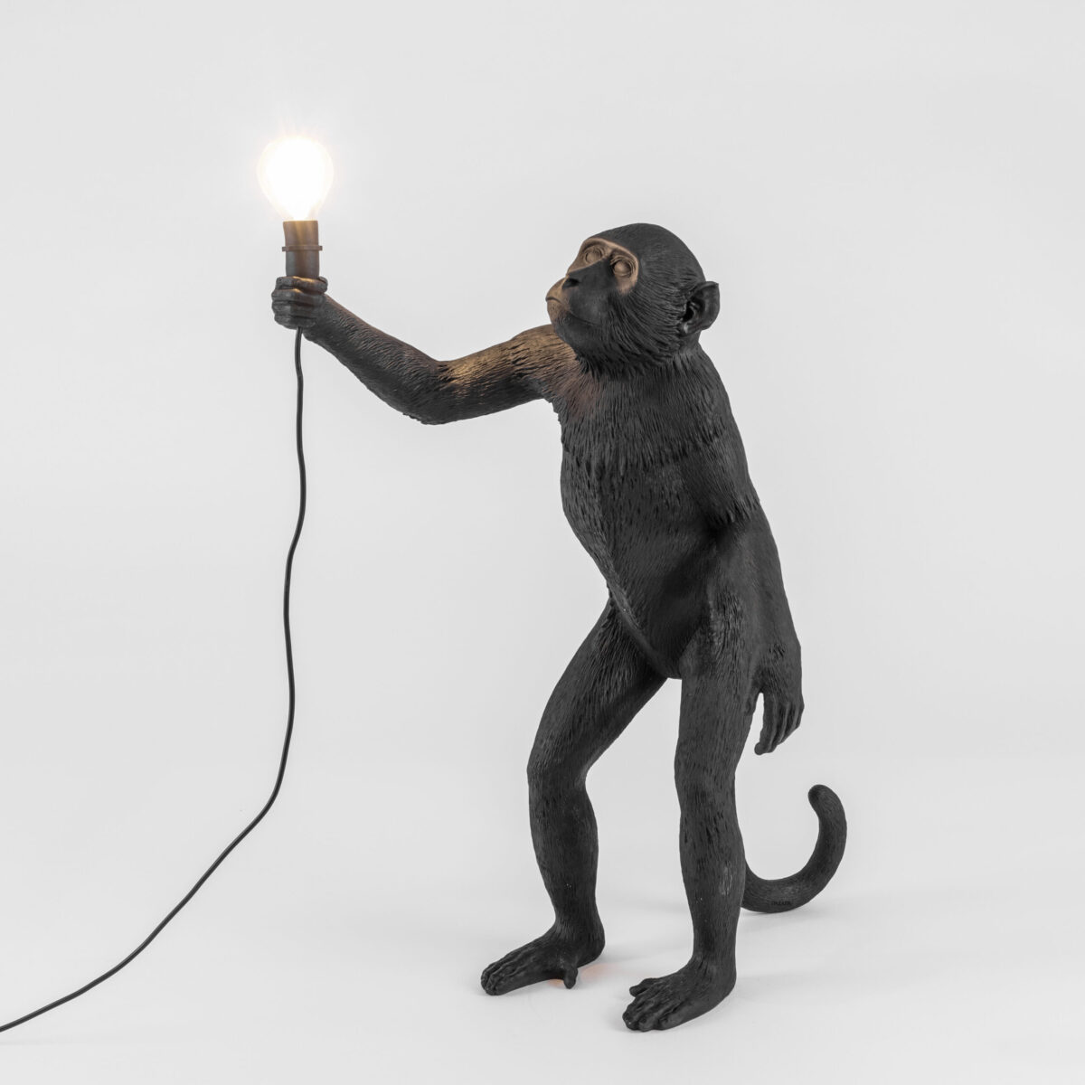 14920_Monkey-Black-Standing-2.jpg