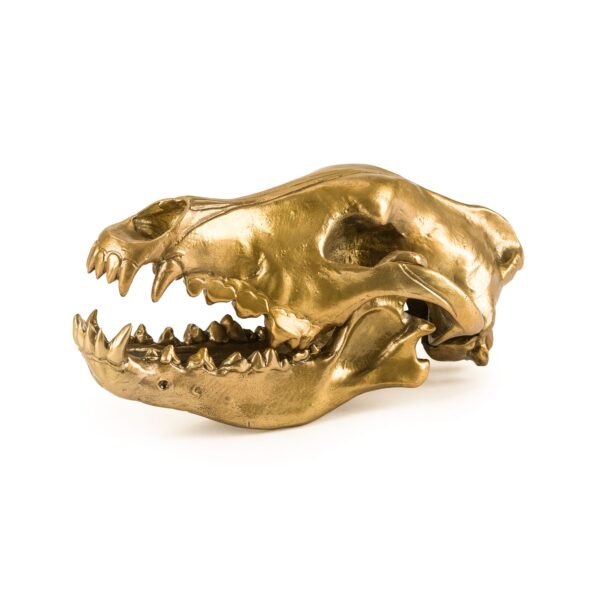 WOLF SKULL IN ALUMINIUM "DIESEL-WOLF SKULL" WUNDERKAMMER