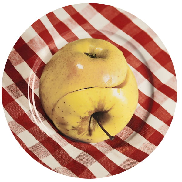 Toiletpaper Porcelain Plate Apple
