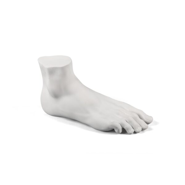 MEMORABILIA MVSEVM 'MALE FOOT' IN Fine Porcelain