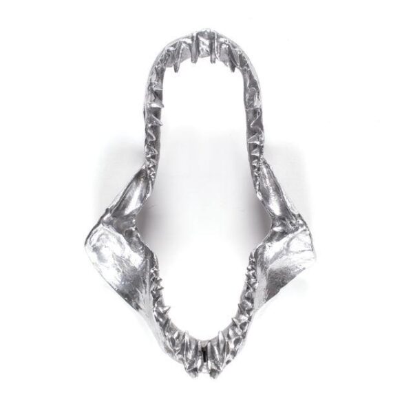 SHARK JAW IN ALUMINIUM 'DIESEL - BITE FOR YOUR RIGHT' Wunderkammer