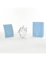 'LOVE IN BLOOM' Heart Vase in Glass - Image 2