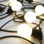 BELLAVISTA OUTDOOR LED Black Lighting Frosted